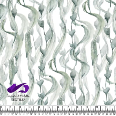 Brins d'algues marines verts verticaux sur fond blanc