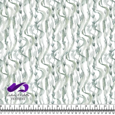 Brins d'algues marines verts verticaux sur fond blanc