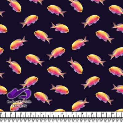 Vibrant Orange and Pink Fish on Dark Background