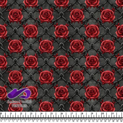 Roses Rouges Épineuses sur Barrière en Chaîne Noire