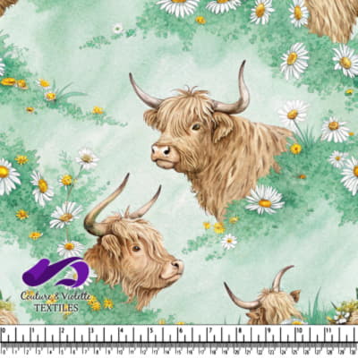 Highland Cows in Spring Meadow