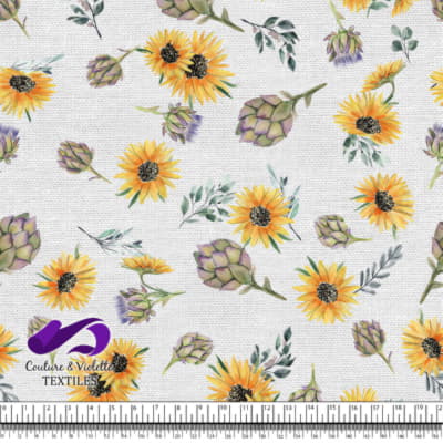 Artichaut et tournesol sur fond blanc