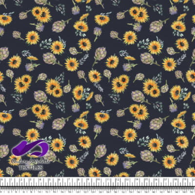 Artichaut et Tournesols sur fond bleu après minuit