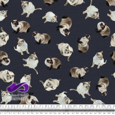 Chat Siamois - Après Minuit Bleu