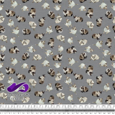 Chat Siamois - Gris Ultime