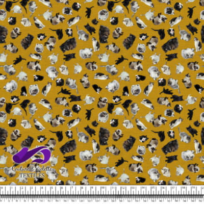 Chat - Chaterie sur Texture Jaune Doré