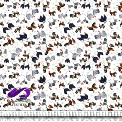 Coqs et Poules - Volaille sur Fond Blanc