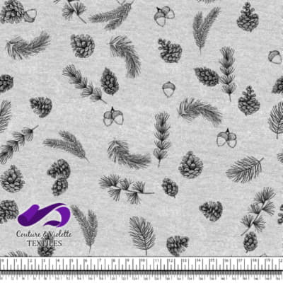 Conifères sur fond blanc