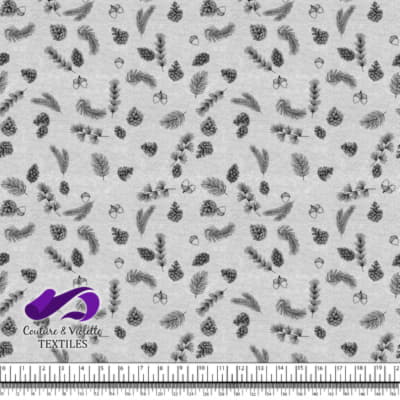 Conifères sur fond blanc