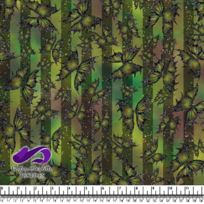 Fantastic Wings - Rhopalocera - Dragon