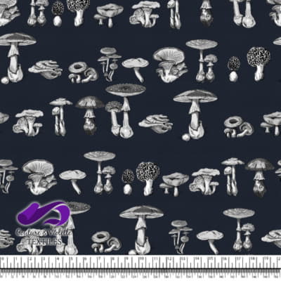 Vintage mushroom - Gravures - Blueberry