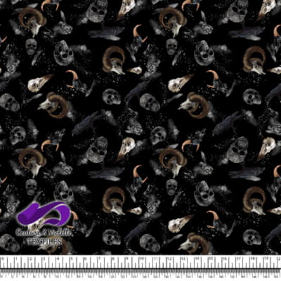 Shadow dream - Skulls and ravens - Noir