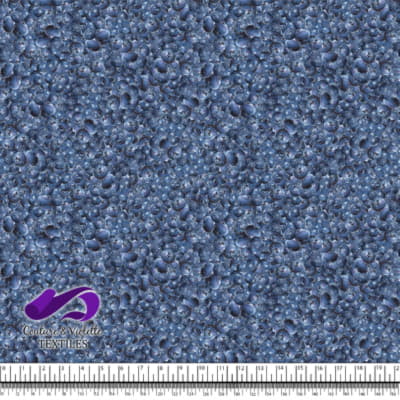 Petits Fruits - Bleuet