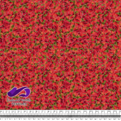 Petits Fruits - Fraise