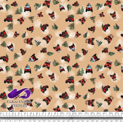 Noel country charm - 4x4 - Desert mist beige