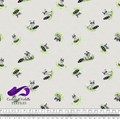 Petits animaux - Raton laveur - Rice milk cloud