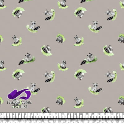 Petits animaux - Raton laveur - Silver cloud