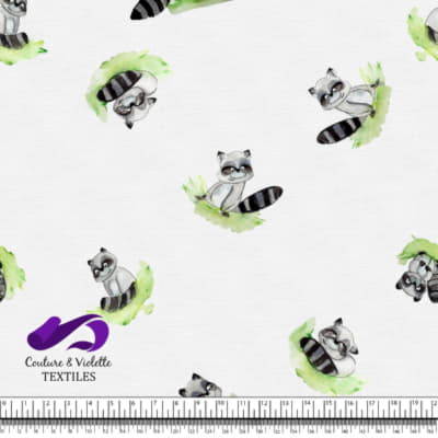 Petits animaux - Raton laveur - Blanc