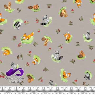 Petits animaux - Animaux de la forêt - Silver cloud