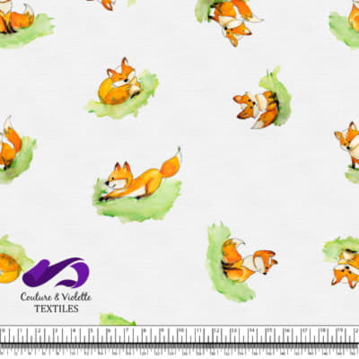 Petits animaux - Renard - Blanc