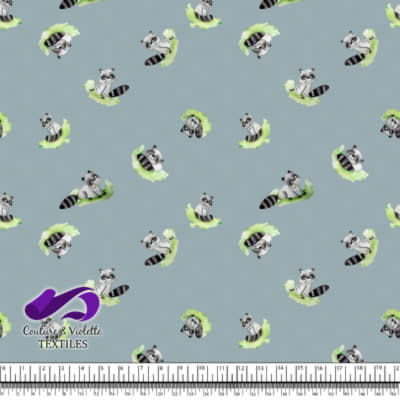 Petits animaux - Raton laveur - Blue cloud