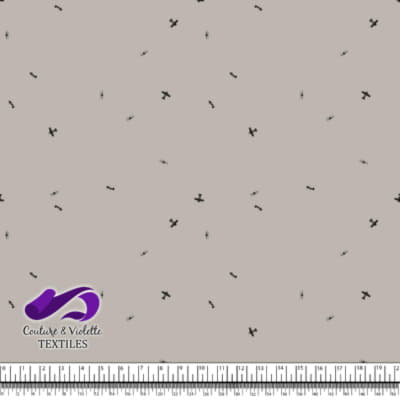 Petit aviateur - avions - nuage argenté