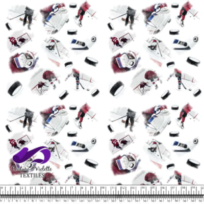 Joueurs de Hockey, Pucks et Glace