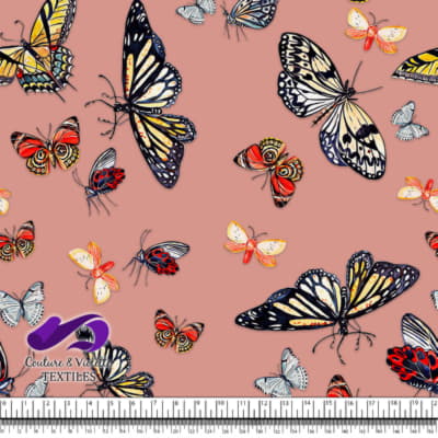 Papillons - Fleur du désert